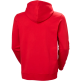 SUDADERA HH HOMBRE CORE GRAPHIC CON CAPUCHA 162